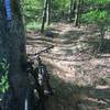 Entering the Gateway trail from the boat launch/parking area.