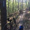 Entering the Rusty Barrel trail from the Gateway Trail.