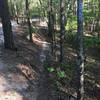 The upper section of the Gateway trail near the intersection of Rusty Barrel.