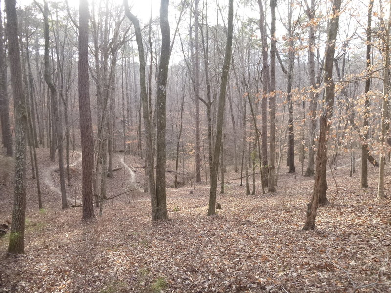 A winter view at the middle section of switchbacks on the Bowl Trail.