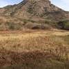 Looking up at Ruby Peak.