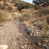 One of the few flowing streams along the Cobre Ridge Loop.