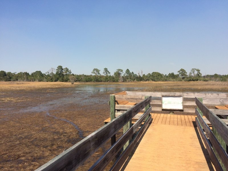 Here is the short board walk to the west side of the lake. Every time I am on these trails I stop here. Great for birding too.