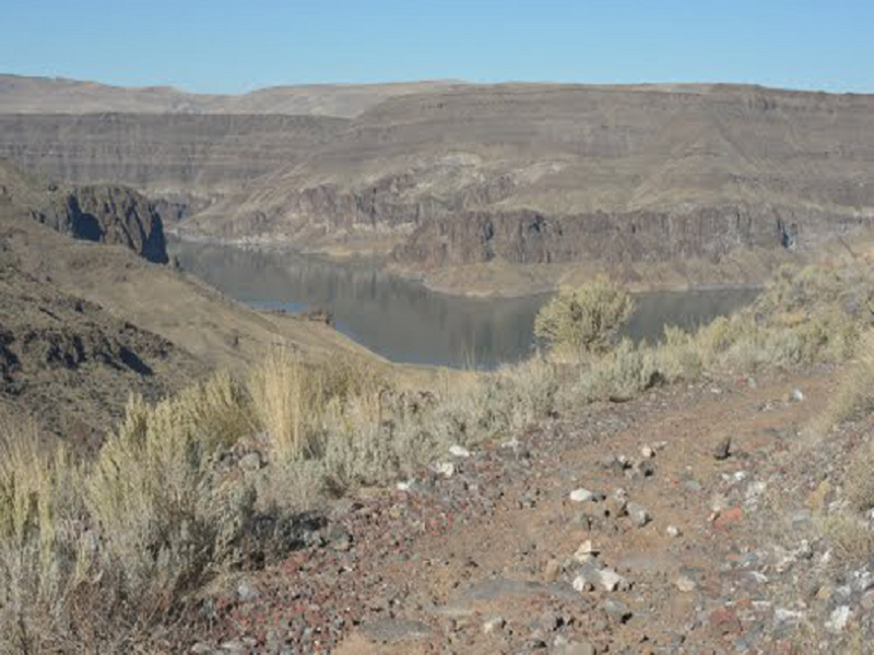 Lake Owyhee from Fisherman Road.