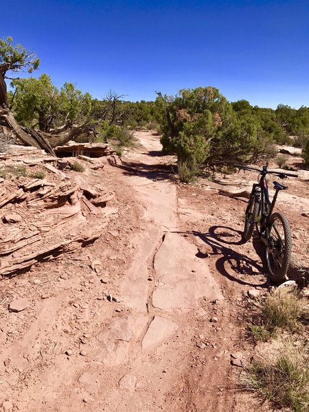 Standard fare along the Big Chief Trail. Deadhorse State Park, MOAB