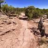 Standard fare along the Big Chief Trail. Deadhorse State Park, MOAB