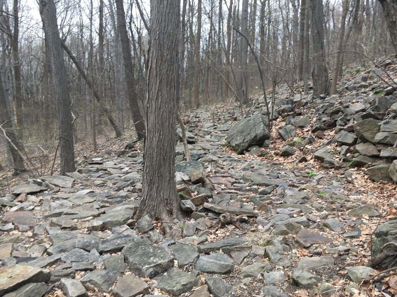 John's Switchback is composed of quite a lot of rock.