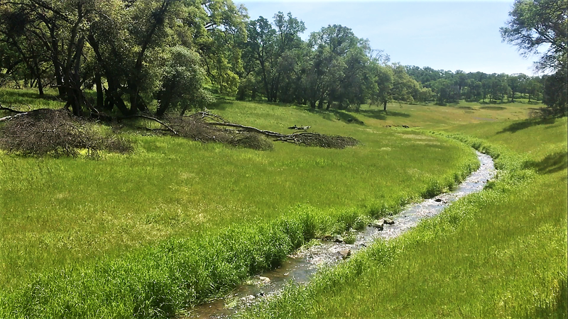 Meandering out to the South Fork of the American River.