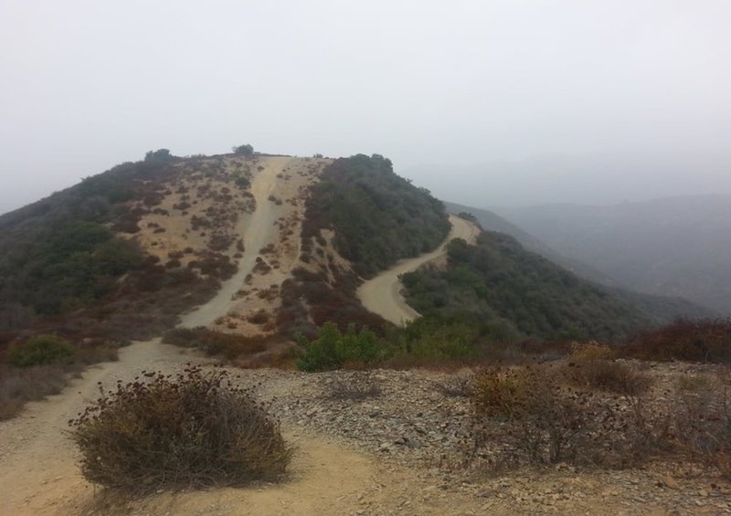 Fire road on the right, westridge singletrack on the left