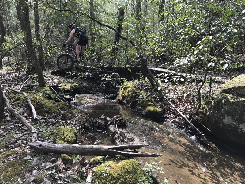 A bridge over a babbling stream before the Solomon Road intersection.