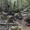 A bridge over a babbling stream before the Solomon Road intersection.