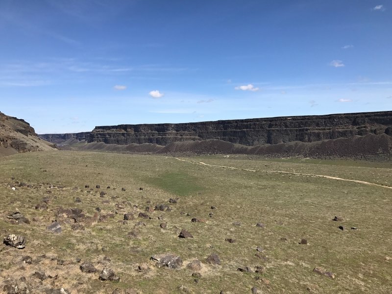 A view down the canyon near Swan Falls.