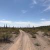 Desert cruising and easy riding.