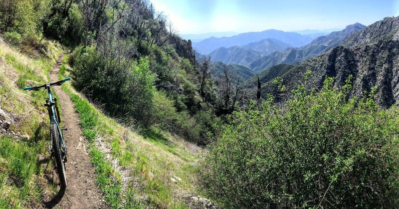 view toward the Angeles Crest Highway.