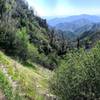 view toward the Angeles Crest Highway.