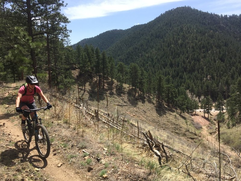 The views are great on Connector Trail.