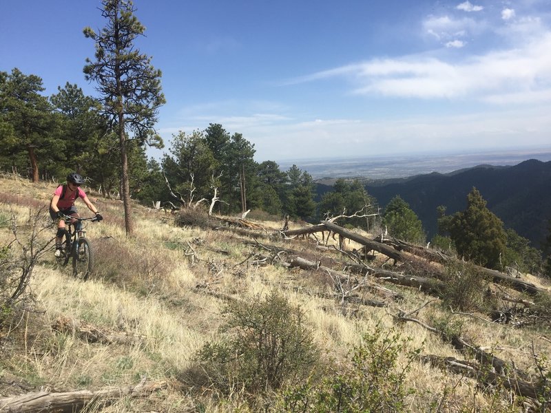 High above Boulder on Trail #838.