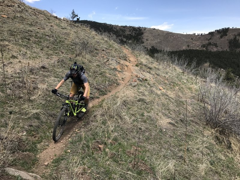 Descending Bonn Scott on narrow singletrack with expansive views of Left Hand Canyon.