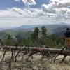 Take a break to take in the epic views of the Front Range - from the Indian Peaks, out to Denver.