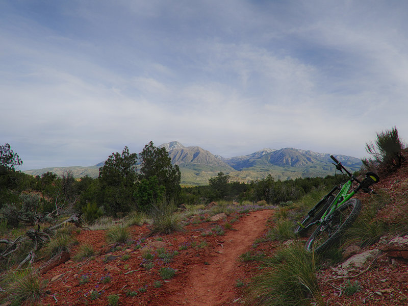 Facing the Ute Mountains back towards the parking lot on the way out from West Rock Creek.