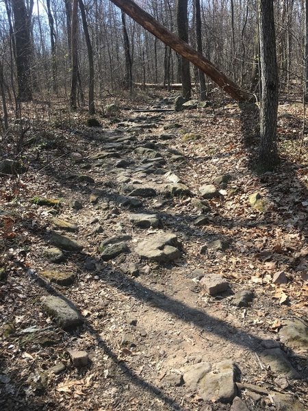 The view of the rocky terrain on the leg burning climb up to the fire tower on the Boone Trail.