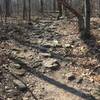 The view of the rocky terrain on the leg burning climb up to the fire tower on the Boone Trail.