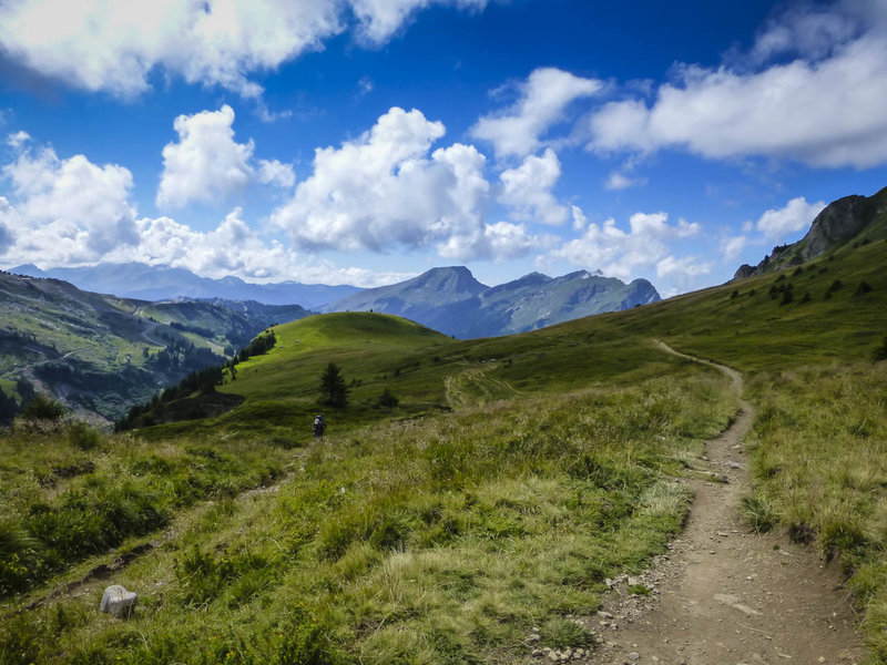 Singletrack along the Franco-Swiss border.