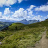 Singletrack along the Franco-Swiss border.