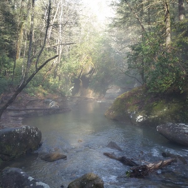 Dog Slaughter Creek, just below the falls.