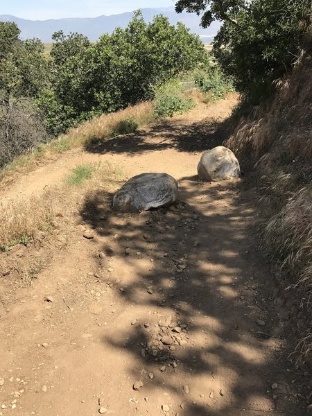 These boulders were placed to slow down descending riders, but they also make for a slighter harder climb.