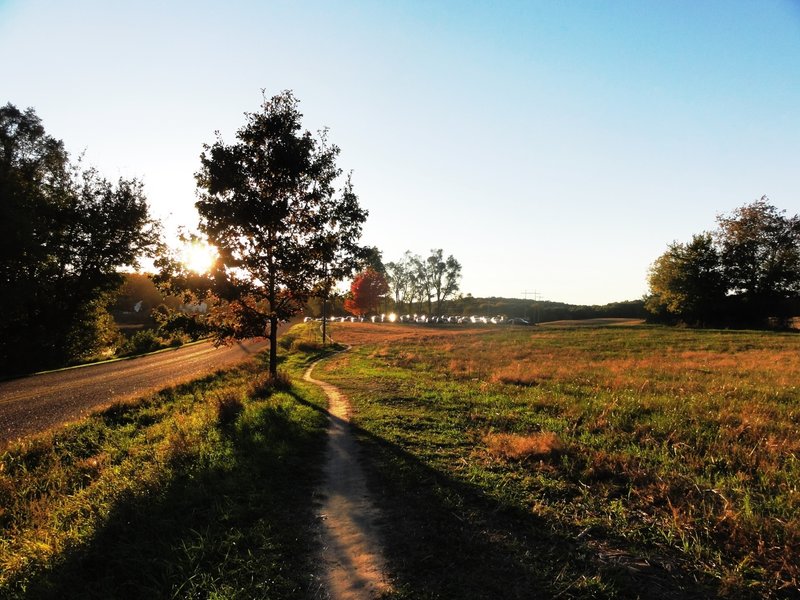 Chasing the sun after taking a lap on the great trails Luton Park has to offer.