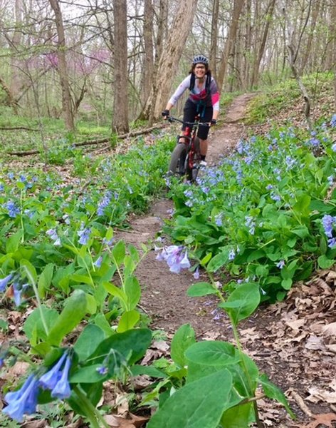 Julia riding past spring wildflowers on Trail B.