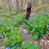 Julia riding past spring wildflowers on Trail B.