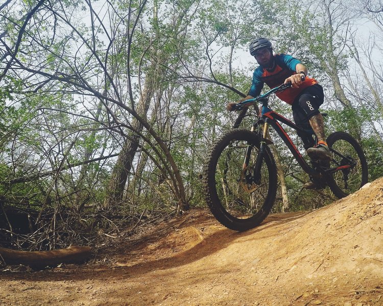 Coming down around a bend on the Kerry Forest trail.