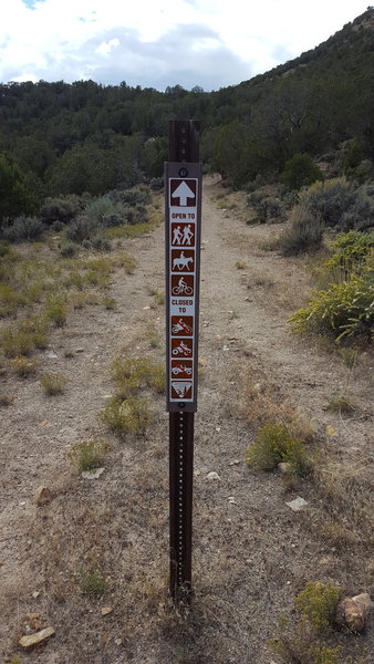 The east end of non-motorized doubletrack.