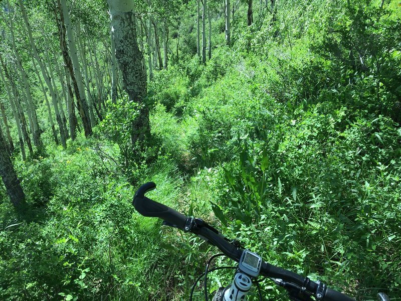 A nearly indiscernible section of trail along the very technical traverse.  Riders beware.