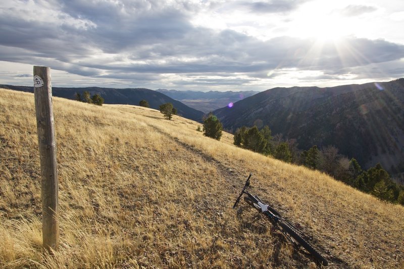 The view down Little Eightmile from the Continental Divide Trail.