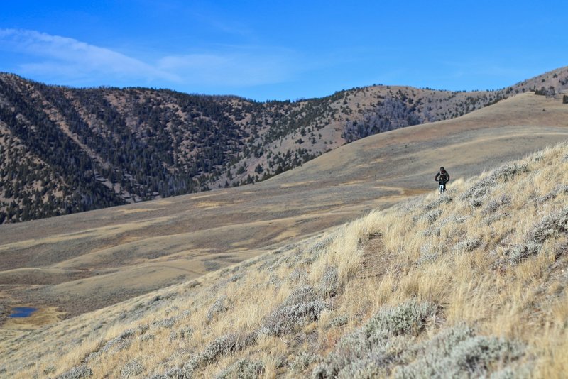 An vast open stretch along the Continental Divide Trail near Goat Mountain.