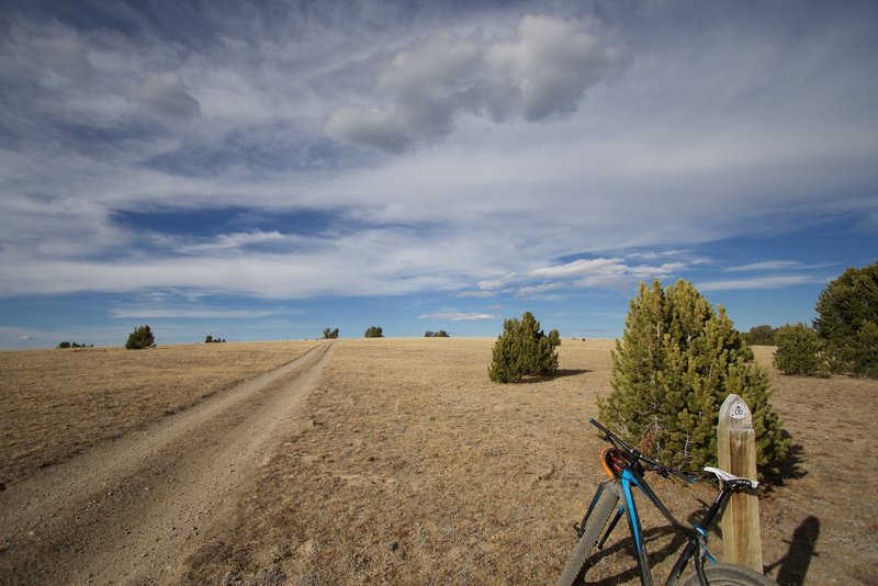 Continental Divide doubletrack near Peterson Creek.