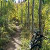 Aspen Alley above Breckenridge in the early fall.