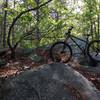 Interesting outcrop of rocks beside the trail.