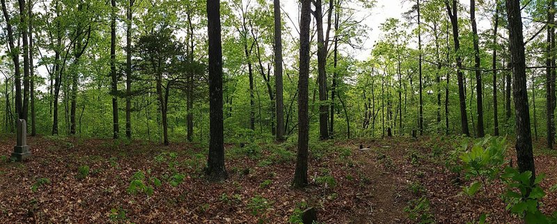 A panorama of one of three nearby cemeteries that can be found in the forest.