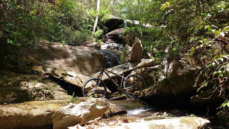 A small tranquil waterfall alongside the Sourwood Trail.