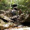 A small tranquil waterfall alongside the Sourwood Trail.