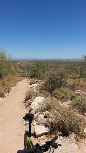 Looking east from Mesquite Trail about half a mile into the trail.