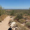 Looking east from Mesquite Trail about half a mile into the trail.