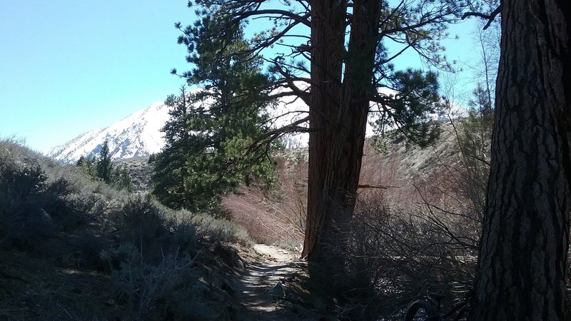 View from halfway down the first section of the Lower Rock Creek Trail - lots of fun!