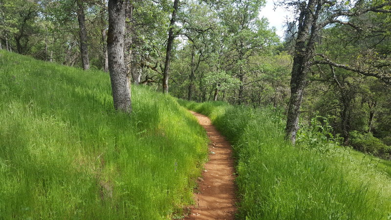 An amazing day of riding on some prime singletrack.