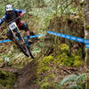 This banked stump jump is fun, but it's tricky enough to sneak up on you.