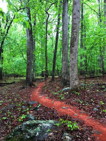 There's a lot of red clay to be found on the Buckeye Loop.